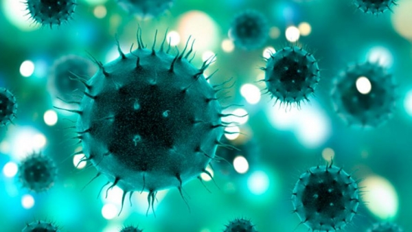 You are currently viewing ¿Qué es y cómo Protegerse del Coronavirus?