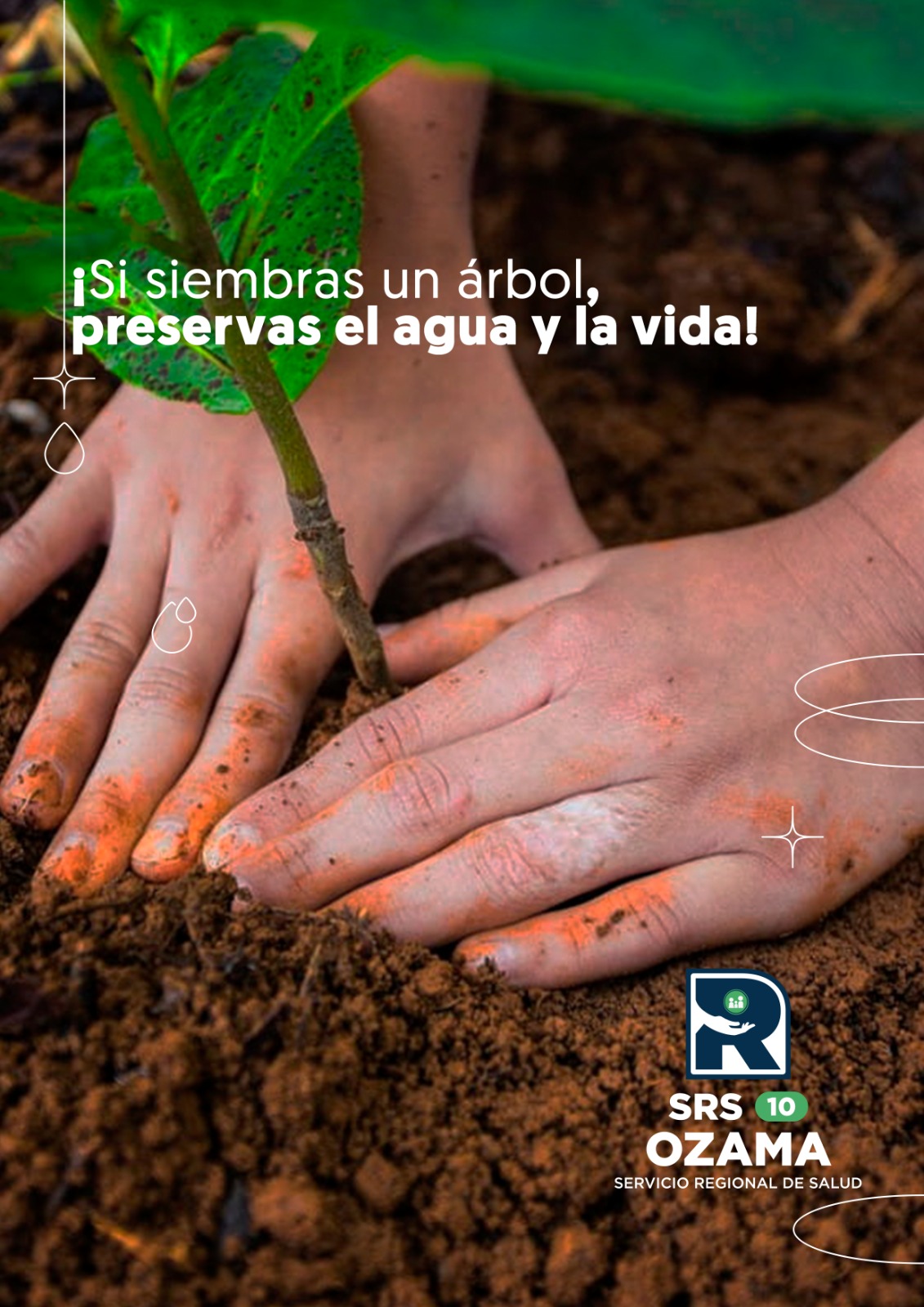 Lee más sobre el artículo ¡Si siembras un árbol, preservas el agua y la vida!